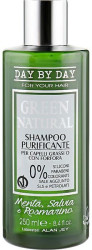 Очищающий шампунь для жирных волос и волос с жирной перхотью Alan Jey Green Natural Shampoo Purficante, 250 мл