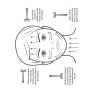 Роликовий масажер для обличчя Skin Gym Face Sculptor Beauty Roller